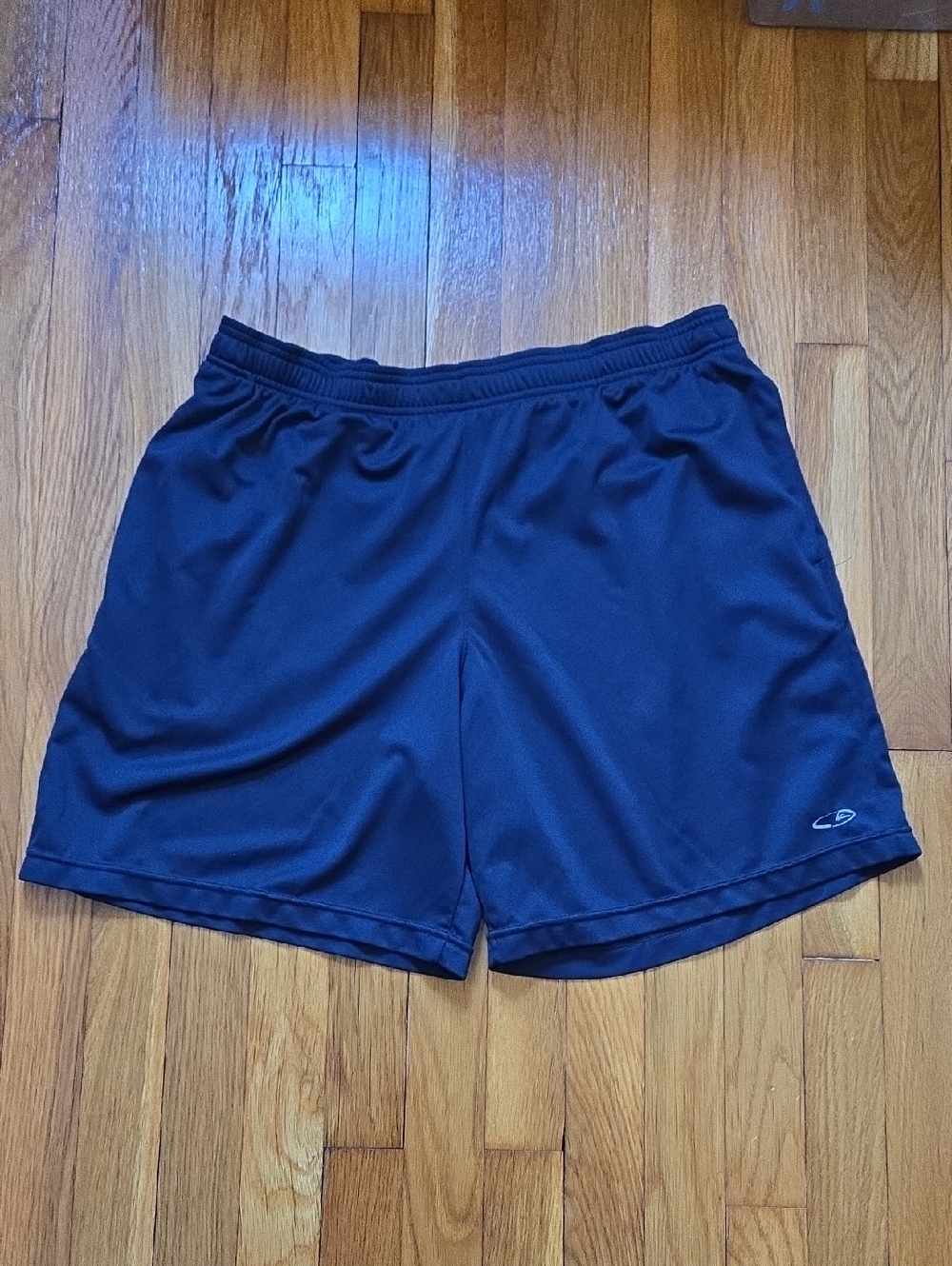 Champion Sports Shorts
